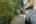 Blurred preview of media: 036_ROB04763