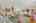 Blurred preview of media: 10