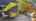 Blurred preview of media: IMG_5838