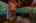 Blurred preview of media: IMG_1771