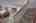 Blurred preview of media: 15