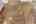 Blurred preview of media: 7439 Hawks Cliff Dr-58