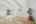 Blurred preview of media: 5106_Paseo_del_Pavon_043