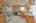 Blurred preview of media: IMG_9811_2_3
