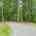 Blurred preview of media: 1-926-0675
