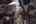 Blurred preview of media: Good Answer_-55