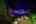 Blurred preview of media: 4Sept0062