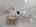 Blurred preview of media: Daytime54