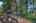 Blurred preview of media: 1-44