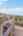 Blurred preview of media: Jonathan Dickinson State Park-11