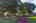 Blurred preview of media: 1-54