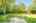 Blurred preview of media: 7 Wallis Ave, Smithville _ Nathan Ferro65