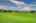 Blurred preview of media: 043