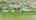 Blurred preview of media: DJI_0277 copy