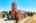 Blurred preview of media: WM-3KLimitedDrone-3