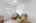 Blurred preview of media: iPixx_01_41
