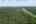 Blurred preview of media: 86 Oak Hill Rd_MLS (071 of 071)
