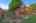 Blurred preview of media: 31