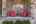 Blurred preview of media: 11