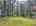 Blurred preview of media: DJI_20250904115356_0119_D_20_D_21_D_easyHDR