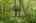 Blurred preview of media: 66 Woobly Road Bolton Massachusetts Job 39072 0003