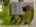 Blurred preview of media: DJI_0914