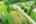 Blurred preview of media: DJI_0920 copy 2