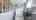 Blurred preview of media: IMG_1401