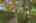 Blurred preview of media: 260105-6a