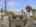 Blurred preview of media: Daytime28