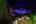 Blurred preview of media: 4Sept0066