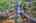 Blurred preview of media: IMG_4778_79_80_easyHDR