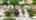 Blurred preview of media: 38