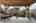 Blurred preview of media: 062