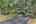 Blurred preview of media: IMG_3606