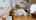 Blurred preview of media: Jarett-Mutts-Photography-06082018_081555