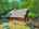 Blurred preview of media: Unknown media