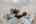 Blurred preview of media: 182 Windermere Way-22