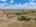 Blurred preview of media: B-5