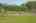 Blurred preview of media: k5