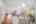 Blurred preview of media: DSC09527