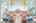 Blurred preview of media: WM-3KLimited-17