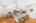 Blurred preview of media: 2-926-0487