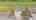 Blurred preview of media: DJI_20260922142031_0832_D_autoremove_62883917