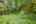 Blurred preview of media: 15-0_SW_Upper_Dr_vacantlot