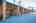 Blurred preview of media: 43