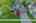 Blurred preview of media: 003