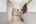 Blurred preview of media: 86 Oak Hill Rd_MLS (021 of 071)