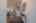 Blurred preview of media: 007