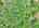 Blurred preview of media: DJI_20260527103532_0014_D_5_D_6_D_easyHDR